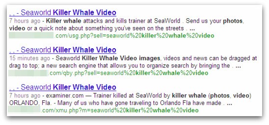 Seaworld killer whale malicious search result