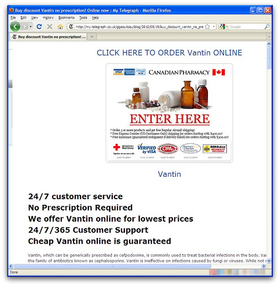 A typical webpage created on the Telegraph's website by the spammers