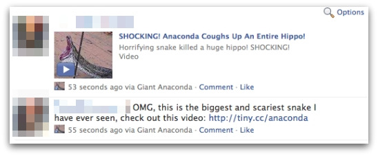 Anaconda coughs up hippo messages