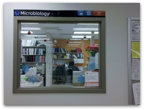 Microbiology lab