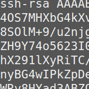 SSH crypto public key