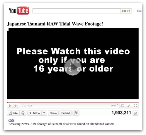 Bogus CNN video footage of Japanese tsunami