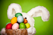 Easter Bunny and eggs