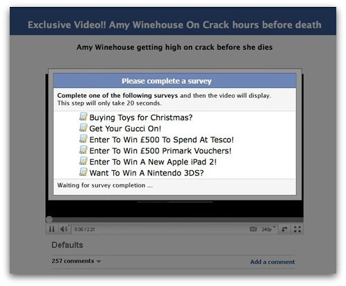 Amy Winehouse survey scam