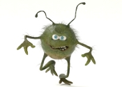 Bug