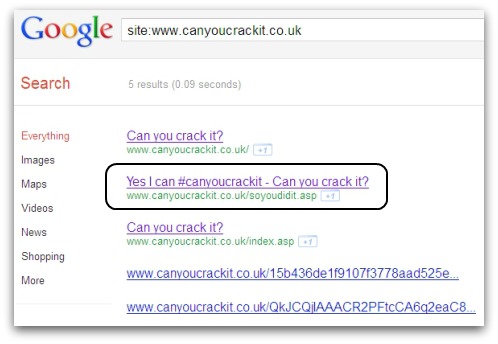 Can You Crack It search results on Google