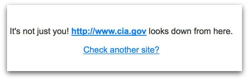 The CIA's website is hard to get to