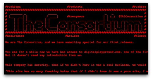 Message from Digital Playground's hackers