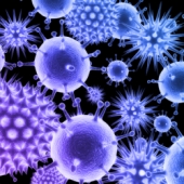 Virus image. Courtesy of Shutterstock