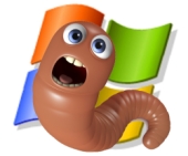Windows logo with worm