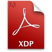 XDP file