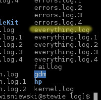 Everything.log
