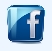 The malicious file has a Facebook-like icon