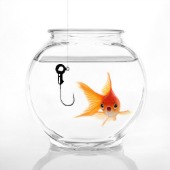 Goldfish in bowl, courtesy of Shutterstock
