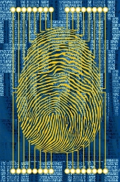 Fingerprint scan. Image from Shutterstock