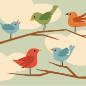 Tweetie birds. Image from Shutterstock