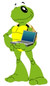 Dewey the Turtle