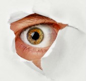 Eye spy, courtesy of Shutterstock