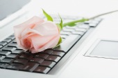 Flower on laptop, courtsy of Shutterstock