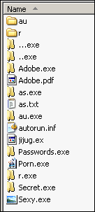 Infected file share with extensions and hidden files shown