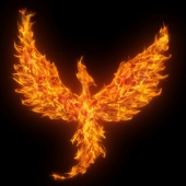 Phoenix. Image from Shutterstock