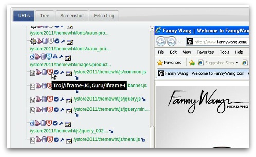 Analysis of Fanny Wang website