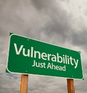 Vulnerability image, courtesy of Shutterstock