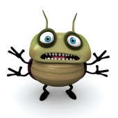 Bug. Image courtesy of Shutterstock