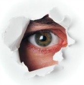 Eye spy. Image courtesy of Shutterstock.