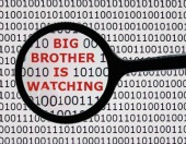 Big brother. Image courtesy of Shutterstock 