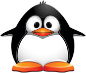 Penguin. Image courtesy of Shutterstock.