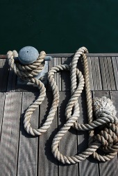 Rope. Image courtesy of Shutterstock.