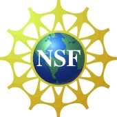 NSF_Logo 170