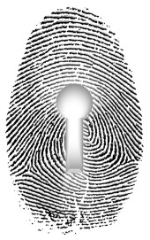 Fingerprint. Image courtesy of Shutterstock 