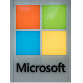 Microsoft logo courtesy of Shutterstock