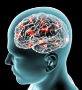 Image of brain courtesy of Shutterstock