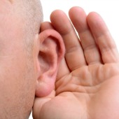 Ear. Image courtesy of Shutterstock.