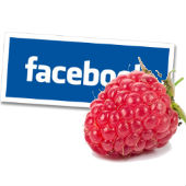 Image of raspberry courtesy of Shutterstock