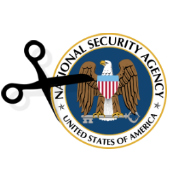 NSA funding cuts