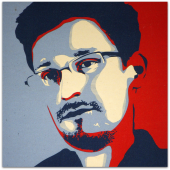 Snowden year one