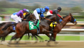 Image of racing courtesy of Cheryl Ann Quigley / Shutterstock.com 