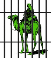 Jail bars. Image courtesy of Shutterstock