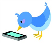 Bird. Image courtesy of Shutterstock