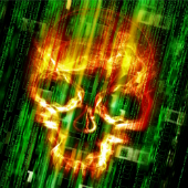 Skull. Image courtesy of Shutterstock.