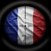 French websites attacked