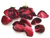 Rose. Image courtesy of Shutterstock.