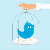 twitter-bird-cage-170